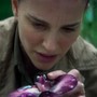 Natalie Portman as Lena in 'Annihilation'