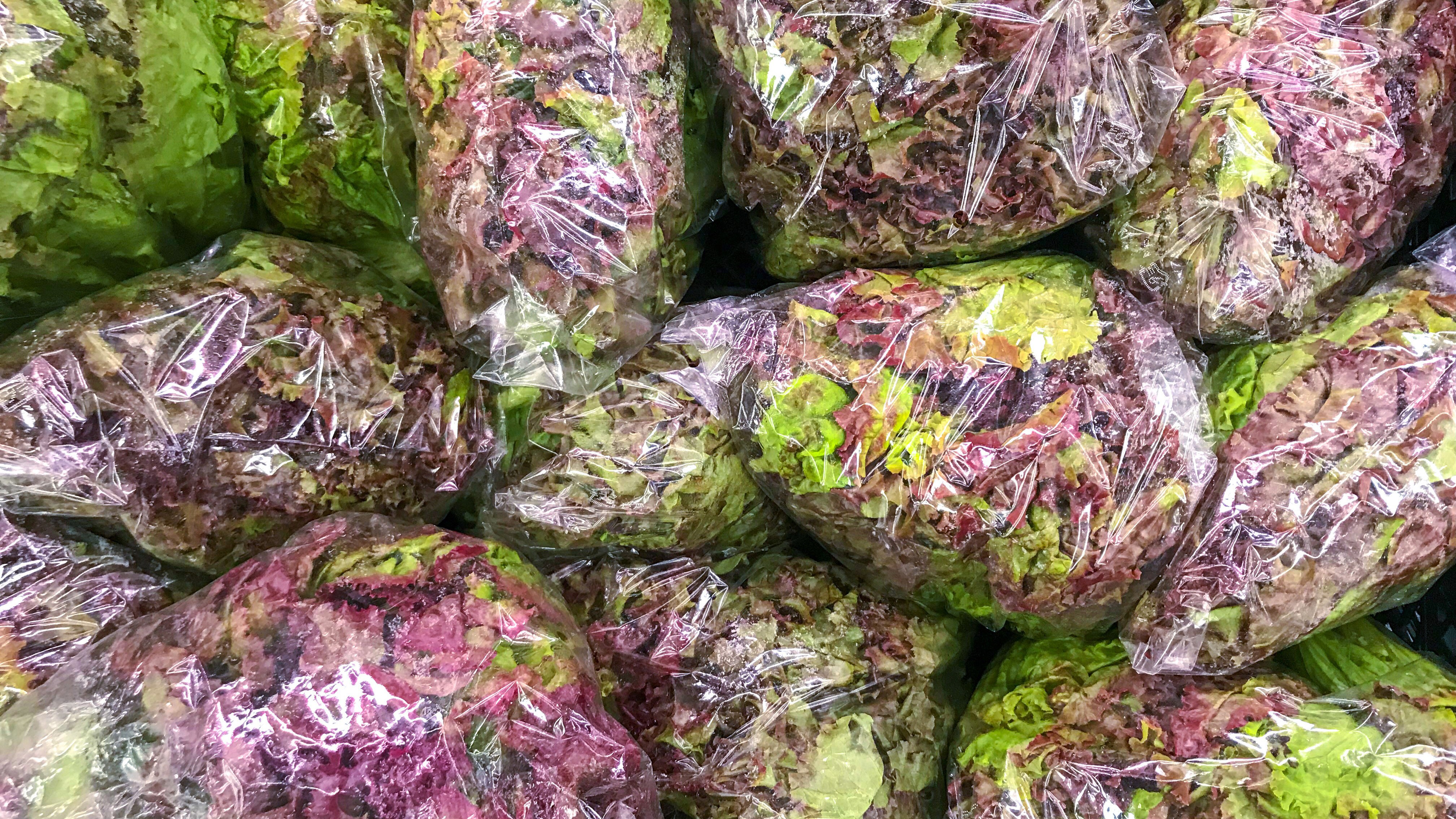 Now’s Not the Time to Eat Bagged Lettuce