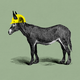 Illustration of a donkey wearing a hard hat
