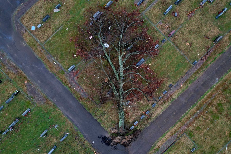 An aerial view of a fallen tree in a graveyard