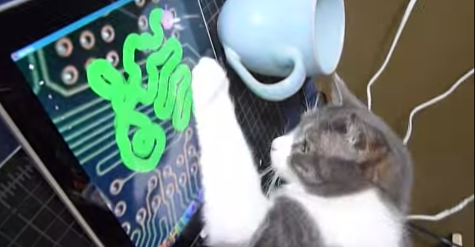Cats Deserve A Better Video Game The Atlantic