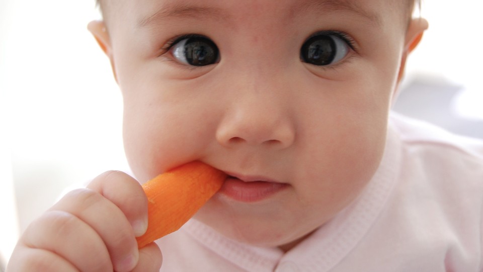 A baby eats a baby carrot.
