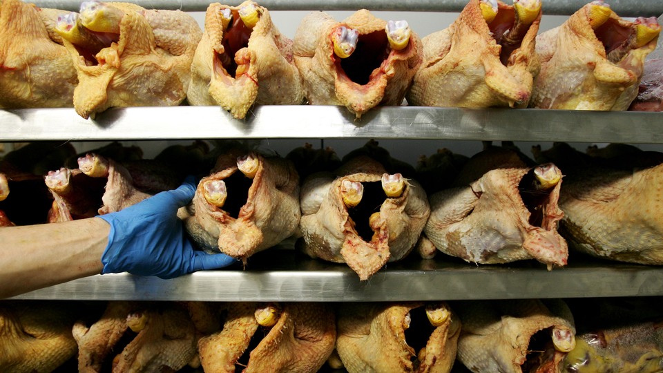Chicken meat in a walk-in refrigerator