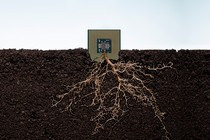 A microchip grows from the ground