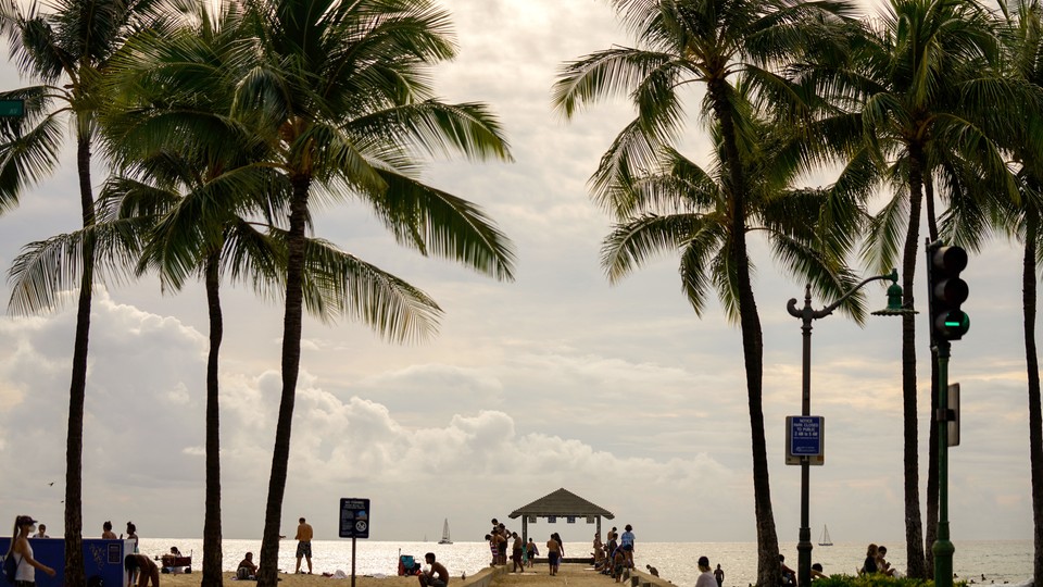 a beach with palm trees