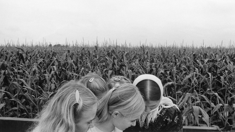 A black-and-white photo of five girls in a cornfield.