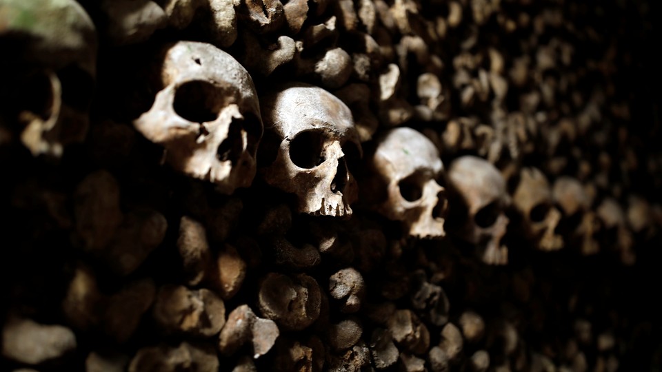 A stack of bones and skulls