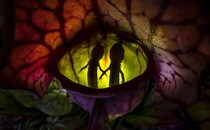 A close view of two small salamanders floating in fluid inside a pitcher plant, surrounded by colorful leaves.