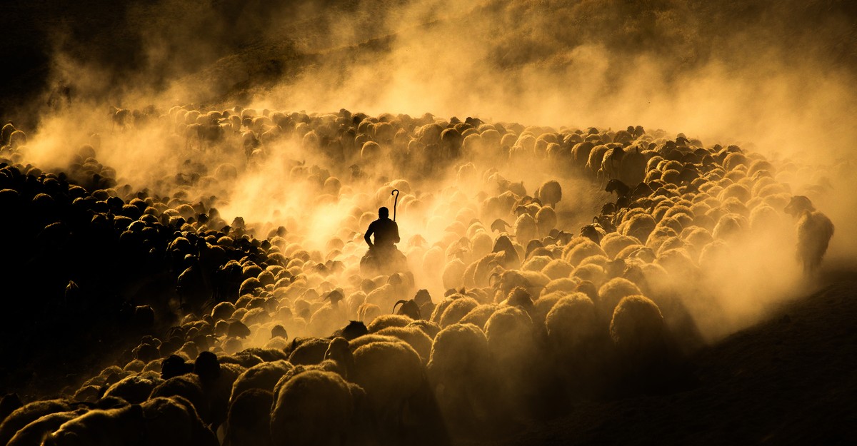 https://cdn.theatlantic.com/thumbor/lkizDVvRq13KvlMd4dNfhotKM4U=/0x300:3499x2122/1200x625/media/img/mt/2025/06/a01_G_2220010957/original.jpg