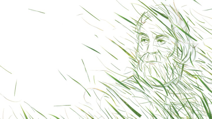 leaves of grass poem by walt whitman