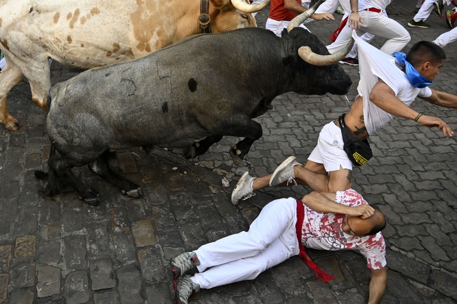 Running of the bulls in Pamplona Spain  Running of the bulls, Pamplona  spain, Pamplona