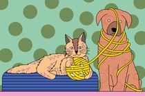 A cat and dog play with a ball of yarn in the shape of a smiley face.