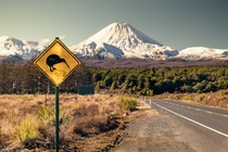 A kiwi crossing sign in a mountain valley