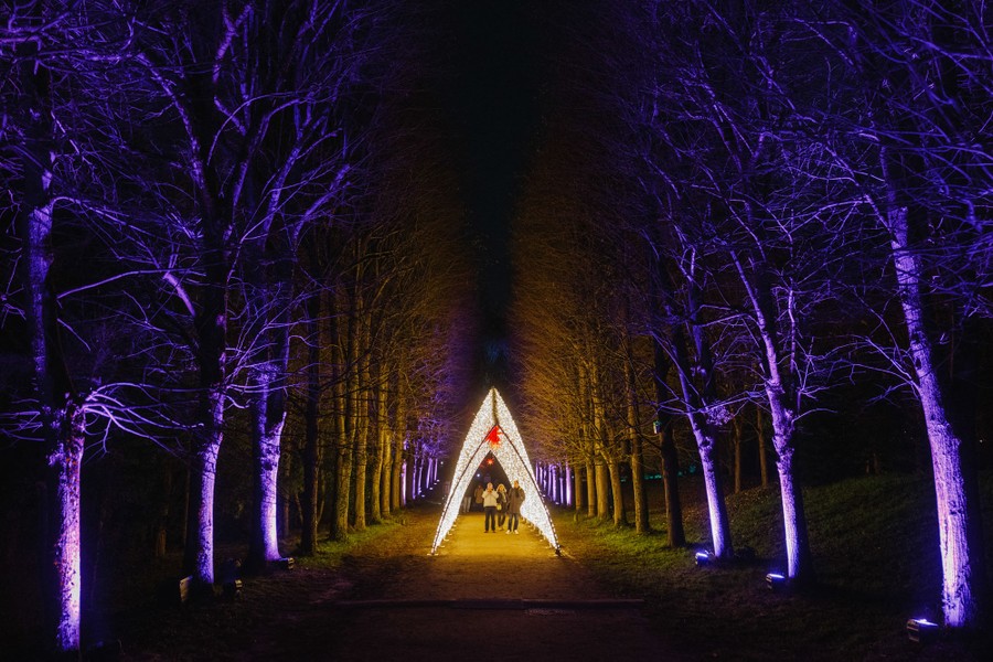 Visitors walk through a light tunnel between illuminated rows of trees at night.