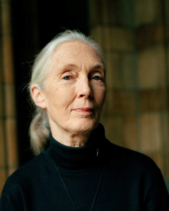 a color photograph of Jane Goodall wearing a black turtleneck