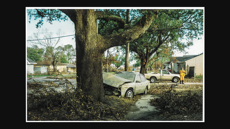 photo of debris-strewn front lawn with huge tree and car with crumpled hood angled on sidewalk next to it