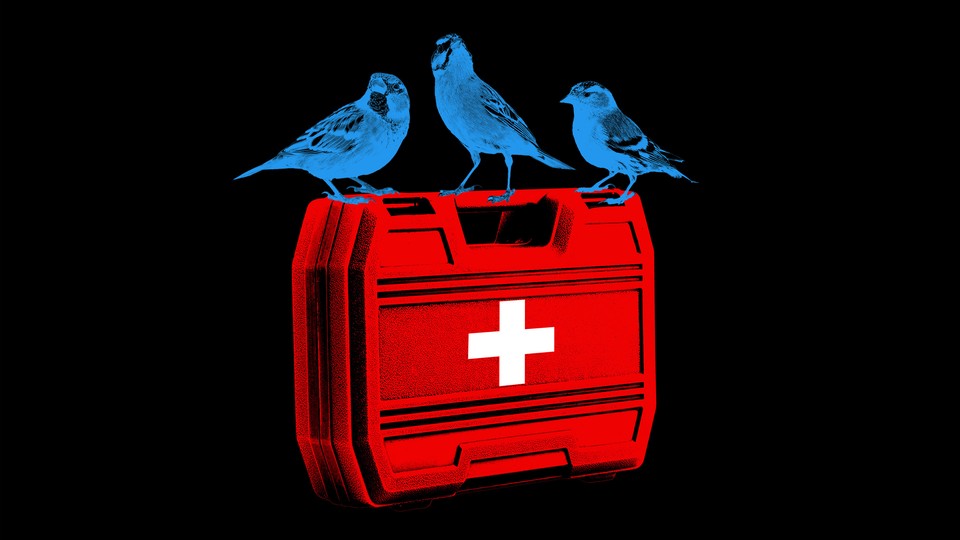 An illustration of three blue birds perched on a first-aid kit