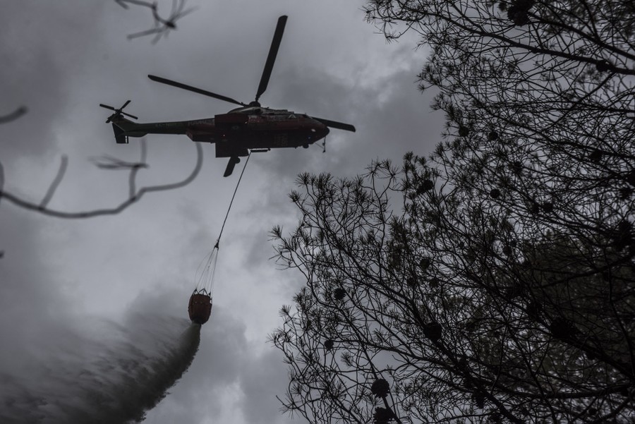 A firefighting helicopter releases its load of water over a burned area in a forest.