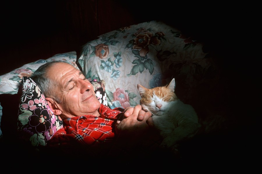 A man snoozes on a couch, accompanied by a cat.