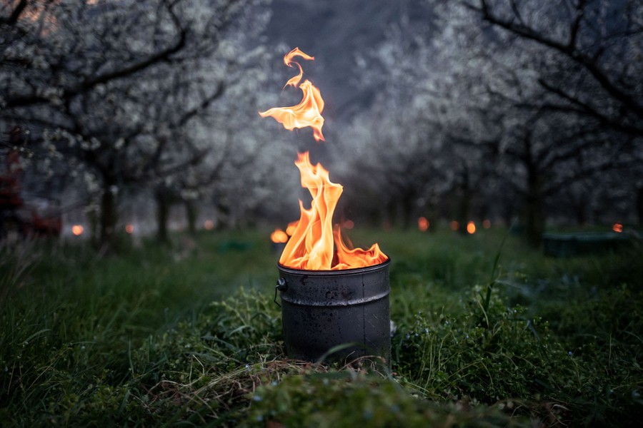 A large candle burns among blossoming trees.