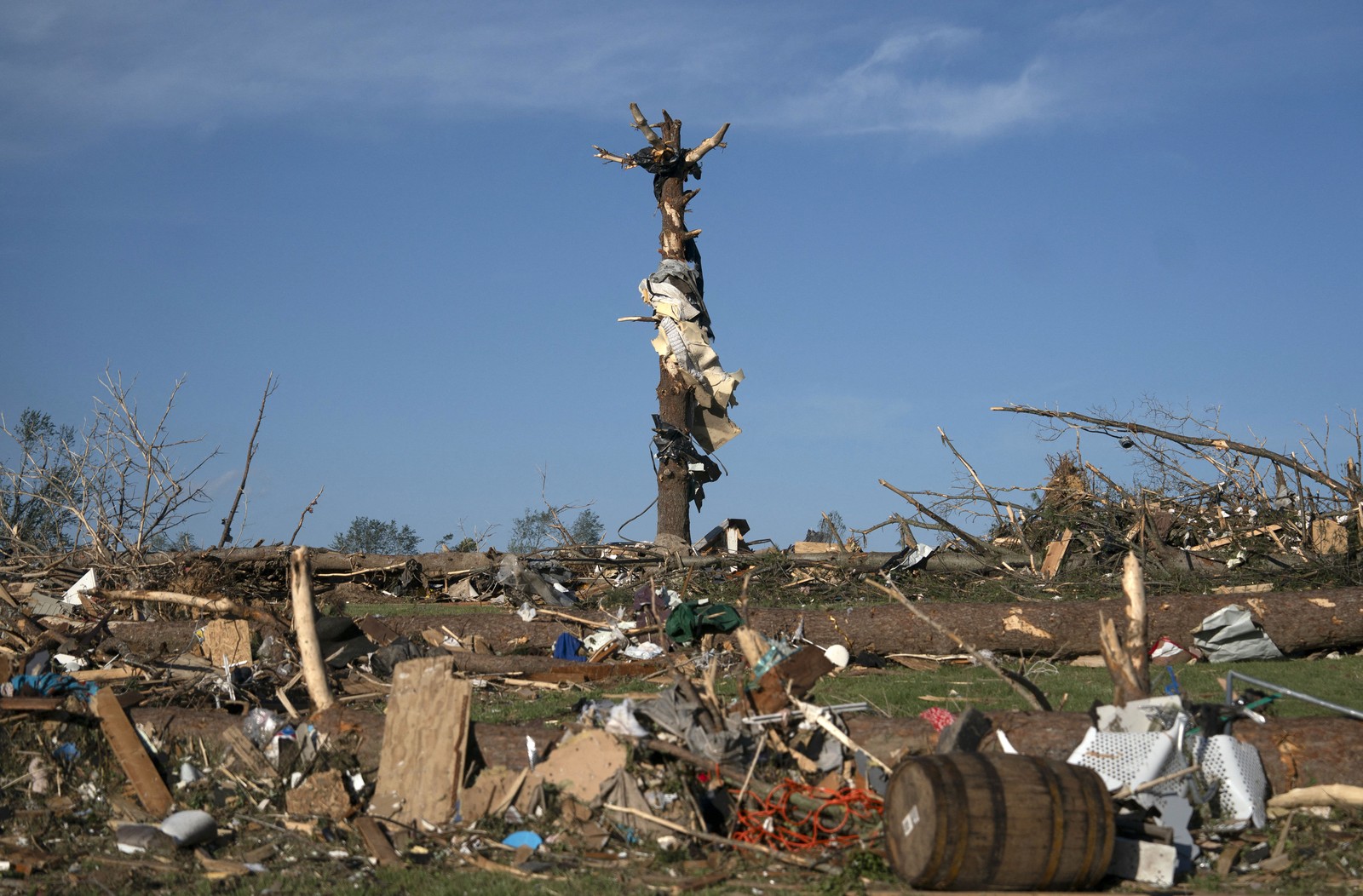 Debris is seen around and on the trunk of a storm-damaged tree.