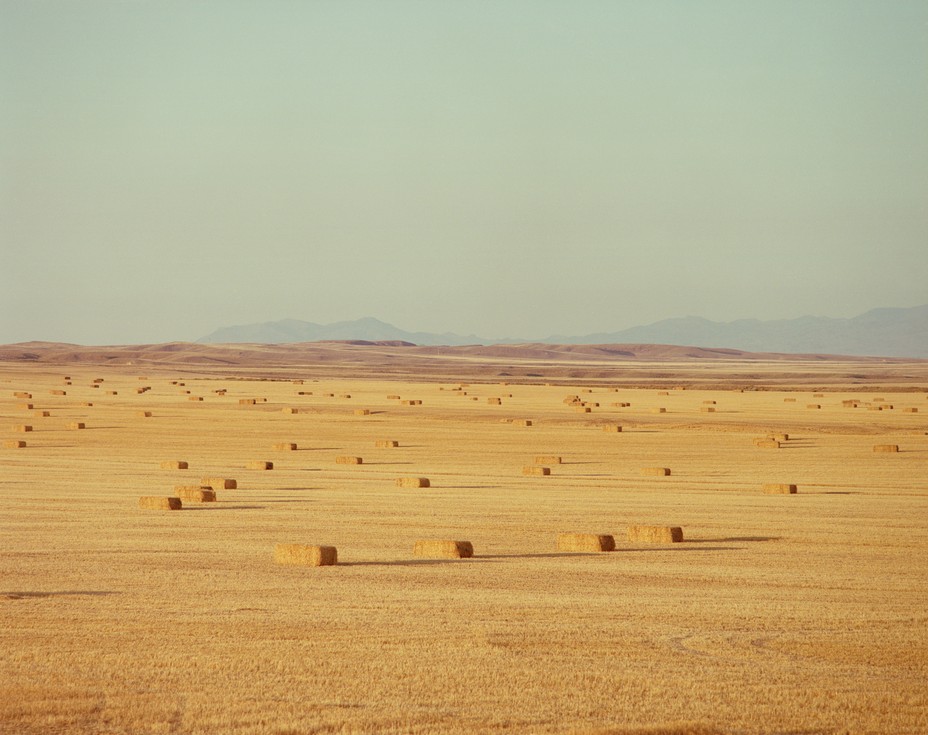 Color photo of vast open orange-yellow field dotted with bales of hay, with low mountains in hazy distance