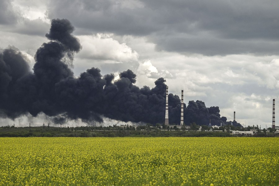 Black smoke rises from an oil refinery in the distance, beyond a field of flowers.