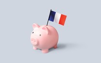 An illustration showing a piggy bank with a French flag flying from it