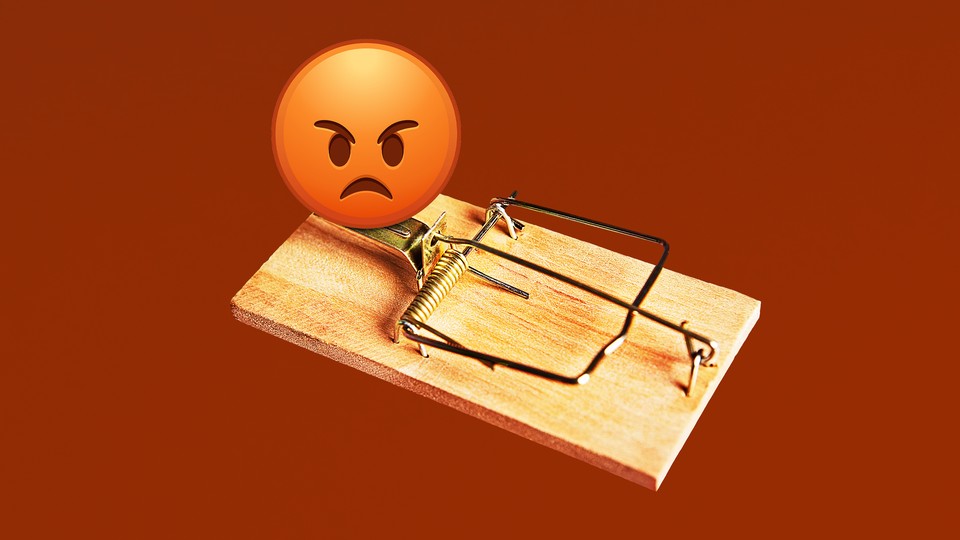 طُعمه خشم کلمه سالی درخشان است