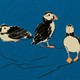 illustration of three sketched black-and-white birds with orange beaks and feet on blue background