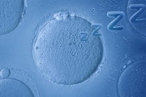 A microscope view of a sleeping cell with ZZZZs radiating off of it, denoting sleep