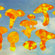 The silhouettes of mushrooms, filled in red and yellow to symbolize heat