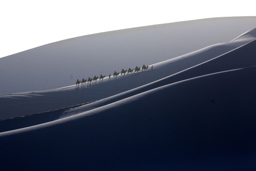 Tourists ride a line of camels over snow-covered sand dunes.
