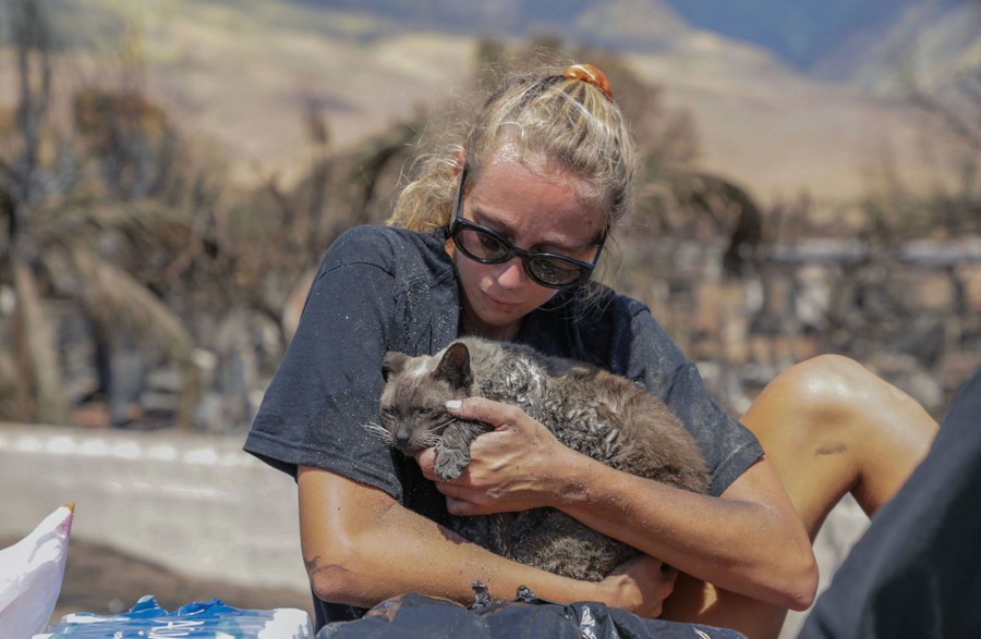 A woman cradles her cat after finding him in the aftermath of a wildfire.