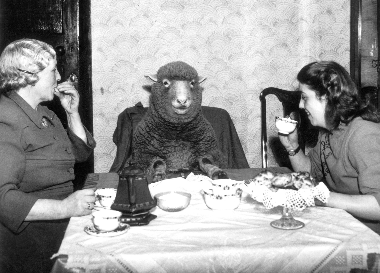 Two women sit at a table for tea, with a sheep joining them, sitting in a chair like a person.