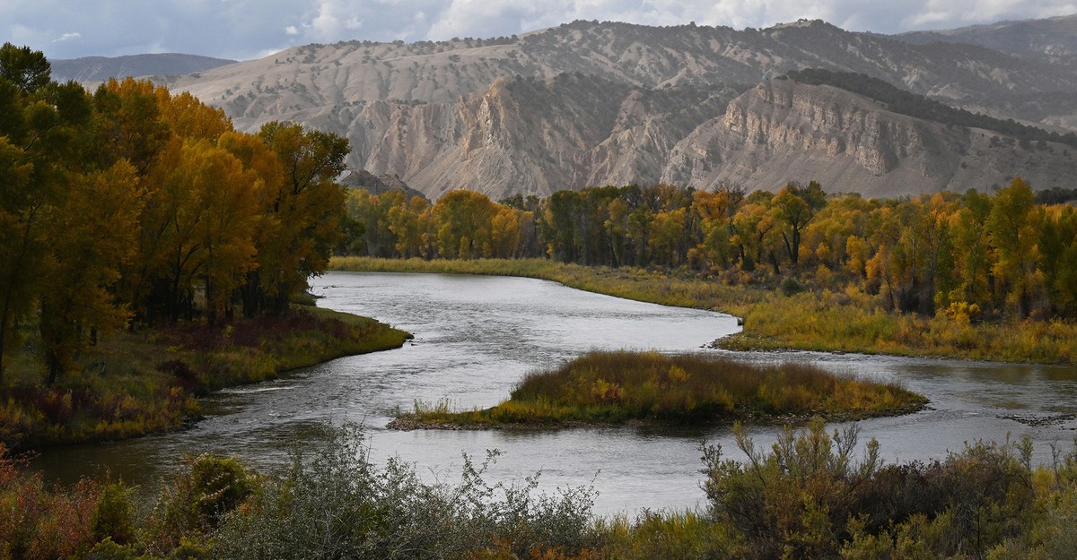 cdn.theatlantic.com image