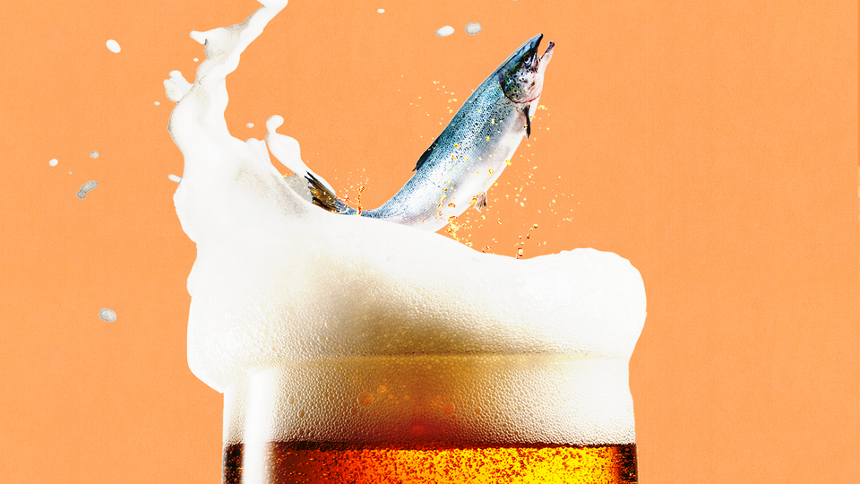 A salmon jumping out of a glass of beer