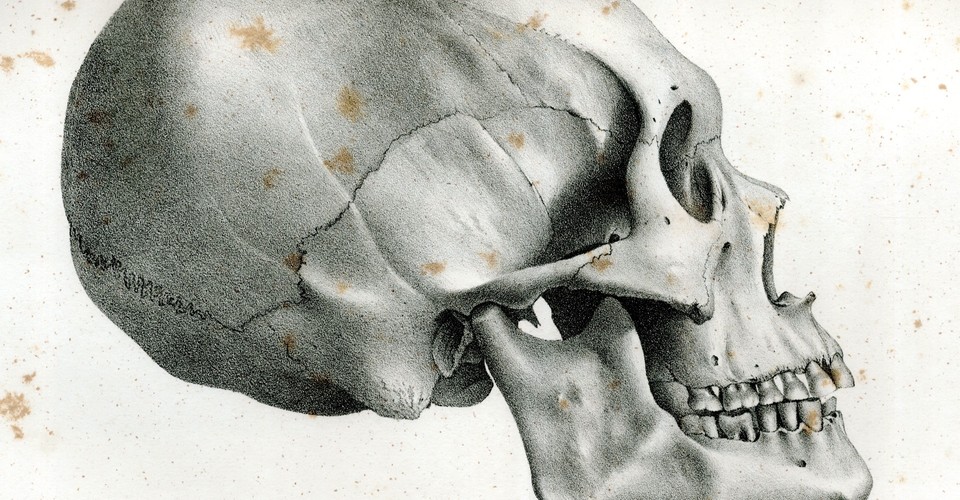 The Racism Behind Alien Mummy Hoaxes The Atlantic