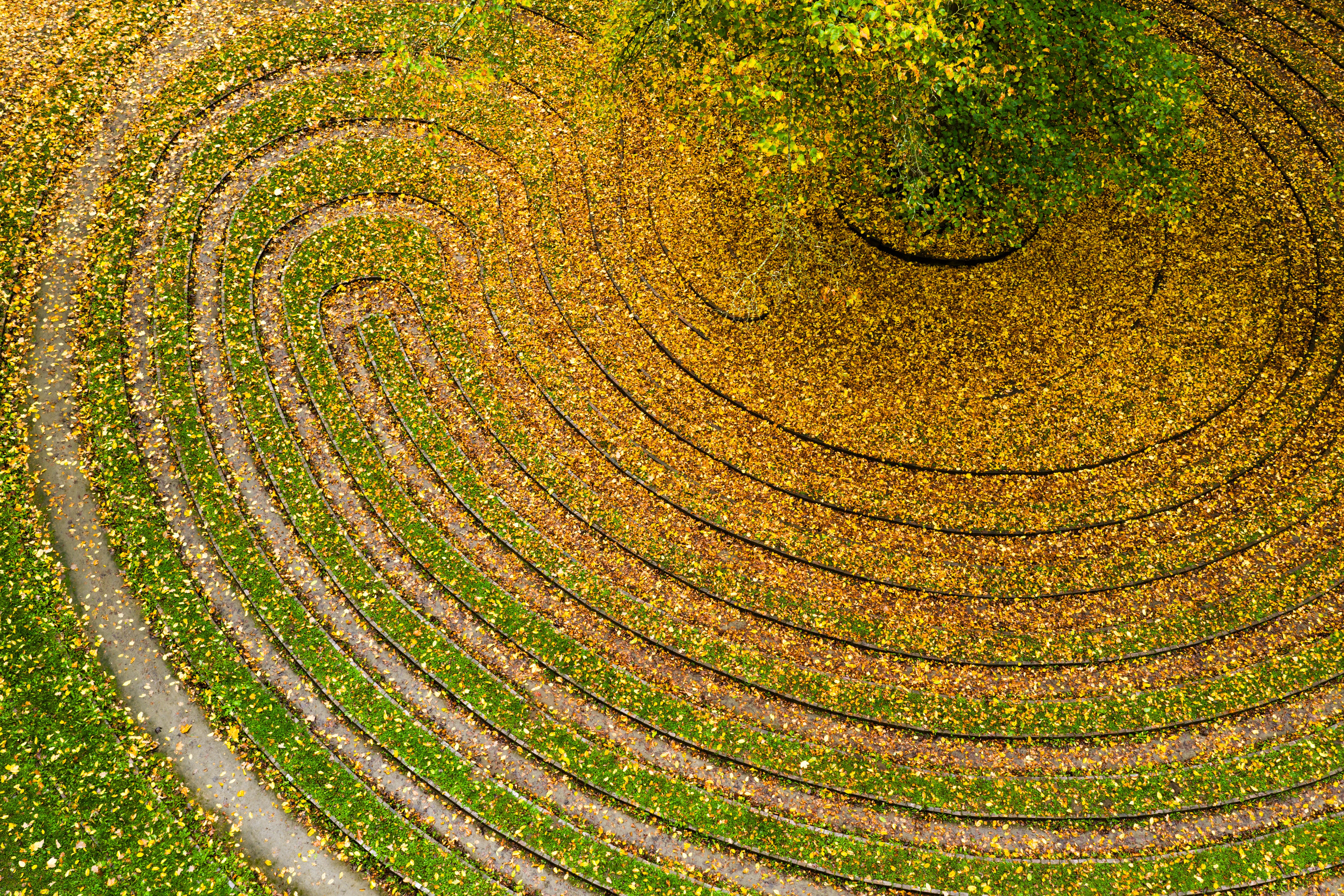 Autumn-colored leaves lie on a lawn labyrinth in a park.