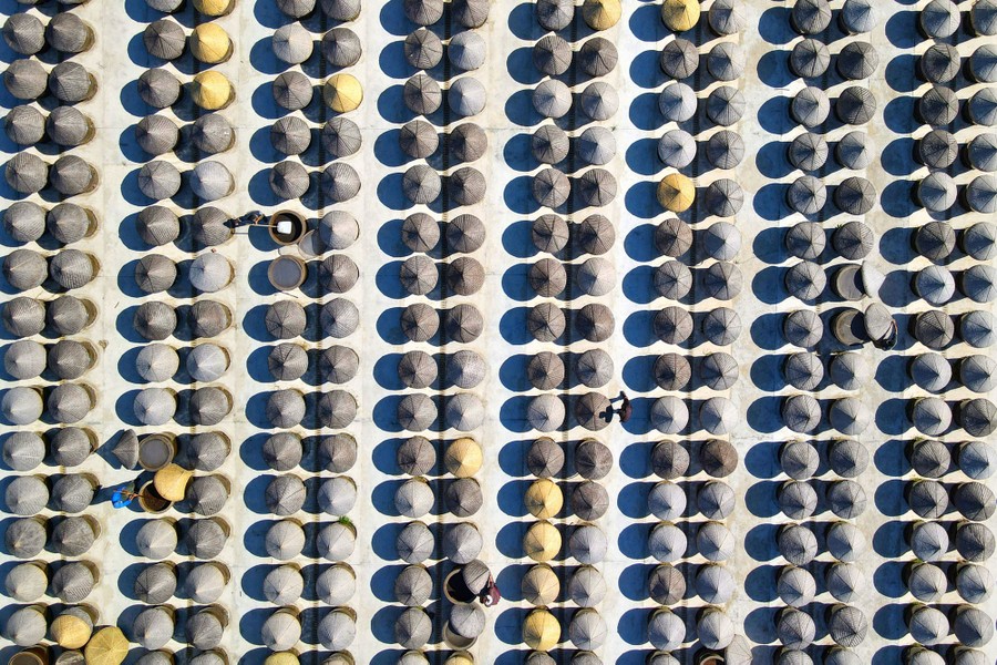 An aerial view of dozens of covered barrels used to produce soy sauce