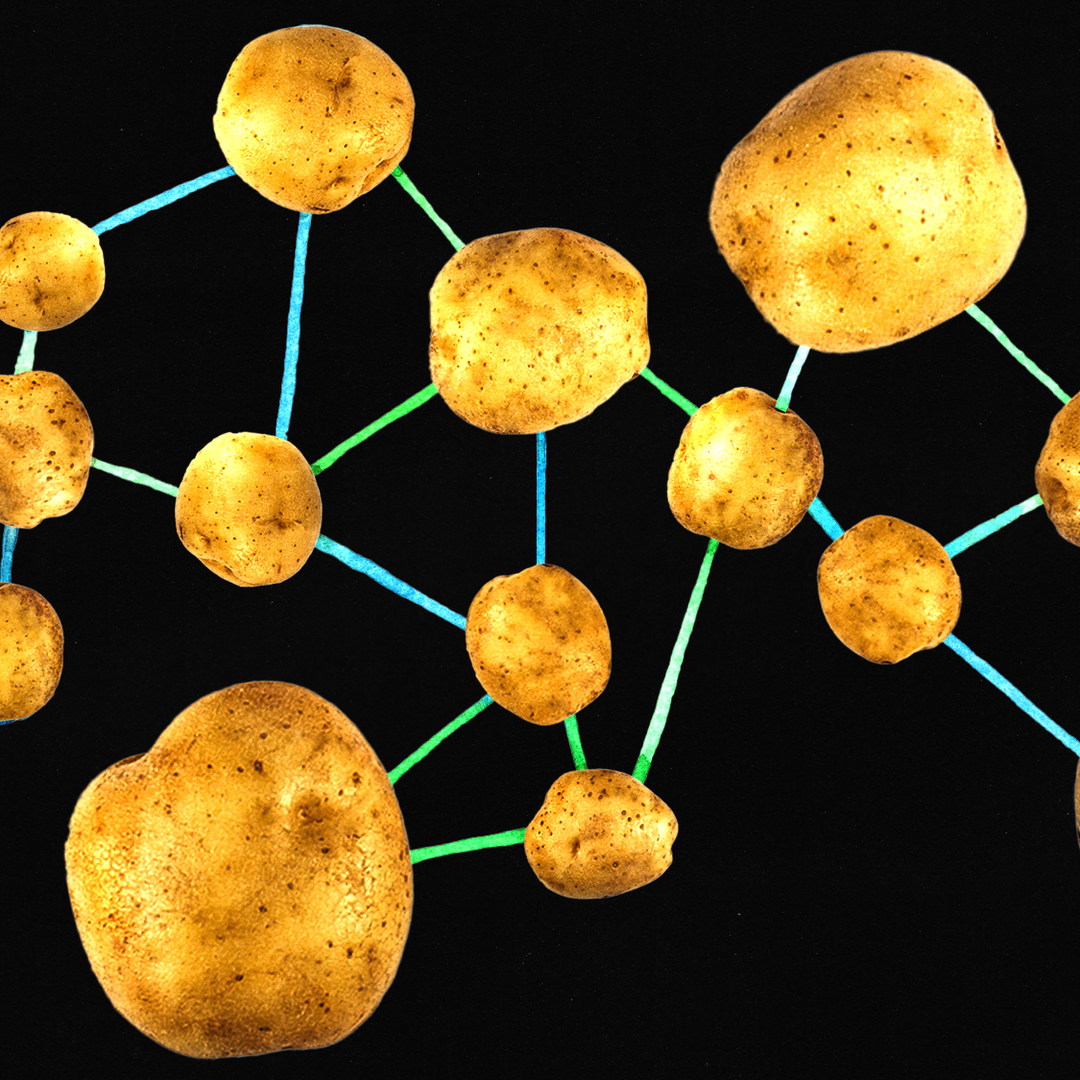 Remarkable News in Potatoes: They Evolved From Tomatoes - The Atlantic
