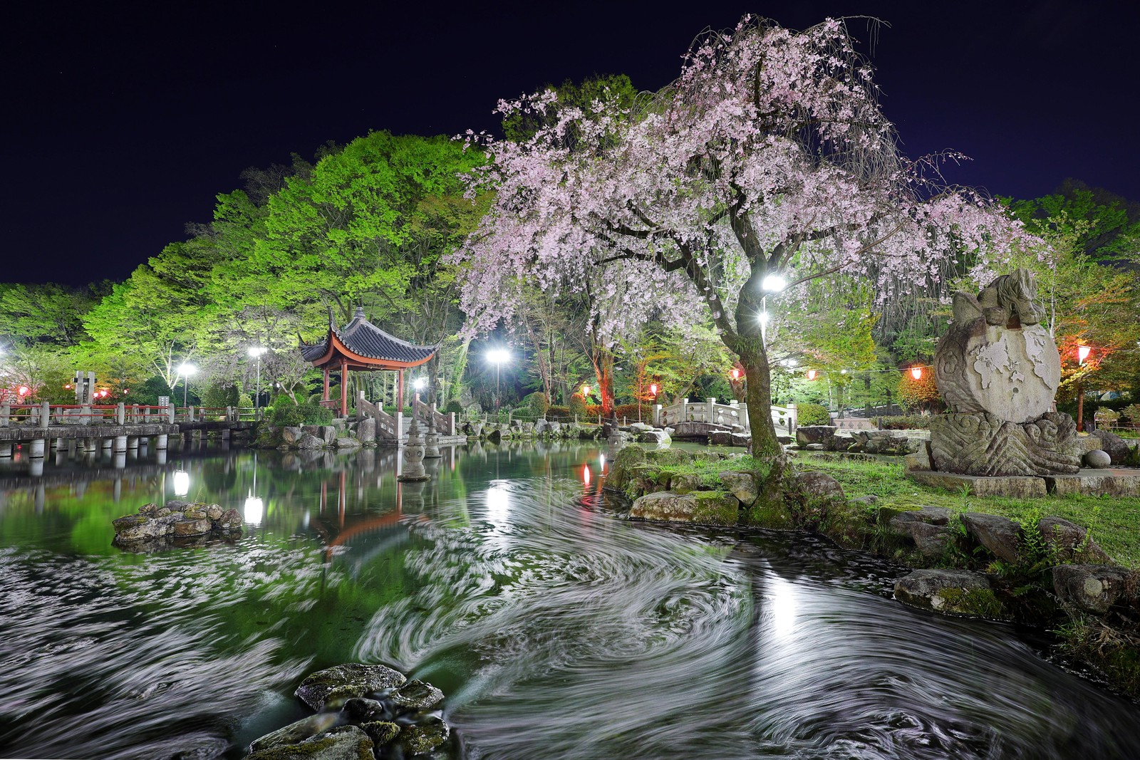 A long-exposure photo shows swirling patterns made by floating cherry-blossom petals in a river.