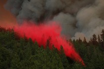 Bright-red fire retardant being dumped over a pine forest