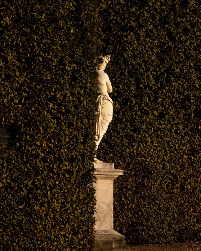 A statue in a hedge