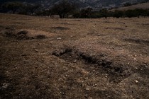 A grave in a field