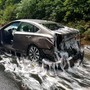 A car is covered in hagfish, and slime, after an accident on Highway 101.