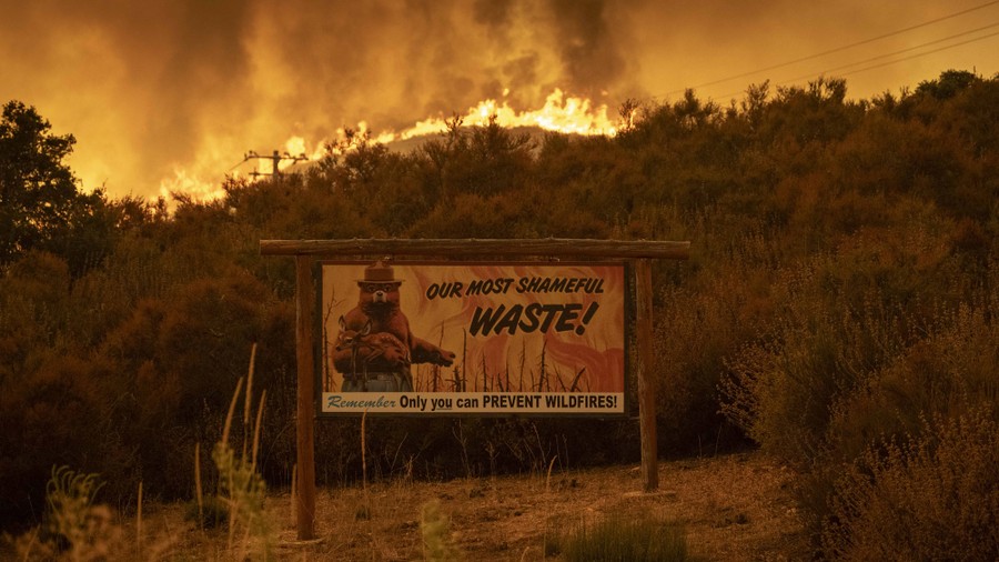 A sign stands in front of a wildfire. The sign shows an image of Smokey Bear, and reads 