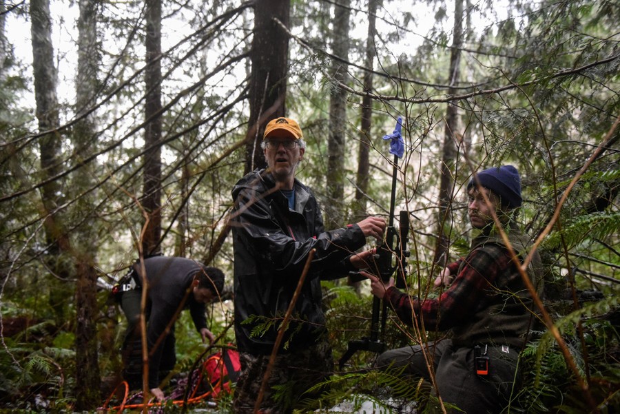 Several people stand in a forest, preparing a rifle to fire a tranquilizer dart.