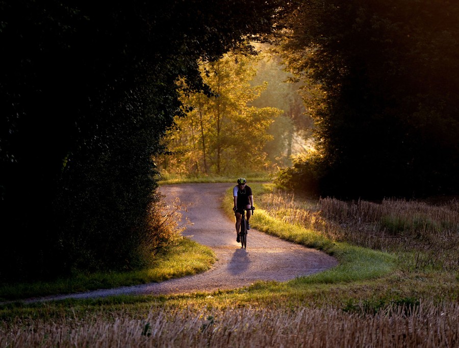 A bike rider pedals down a sunny path surrounded by trees.