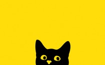 an illustration of a black cat peeking out onto a yellow background. the cat looks mischievous.